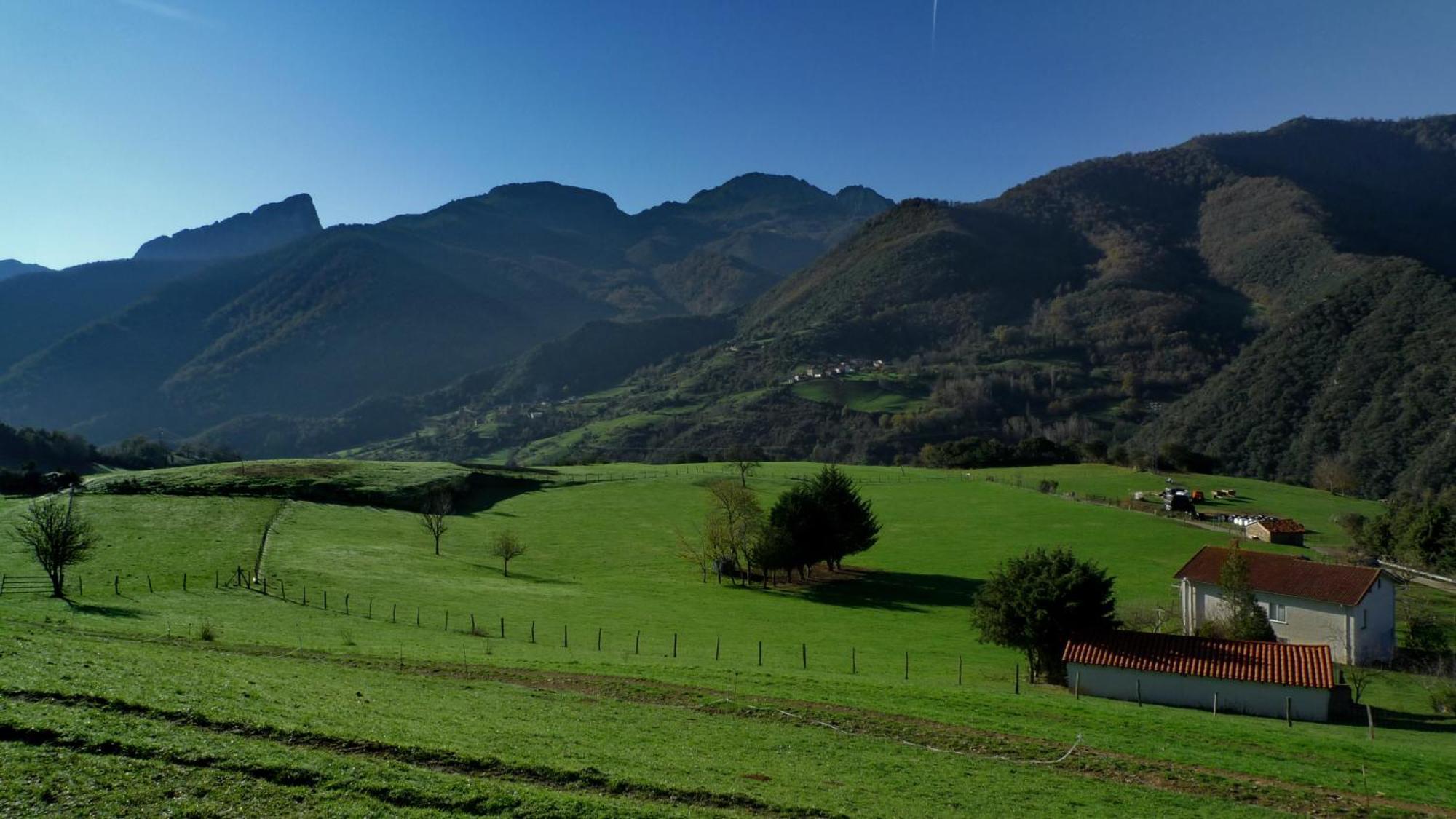 Posada Valle Del Oso Lerones Εξωτερικό φωτογραφία