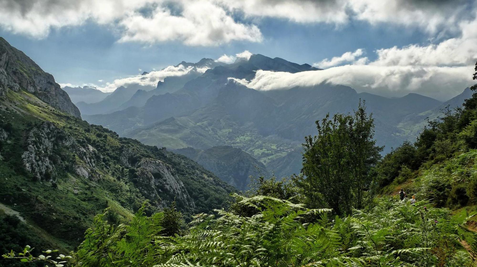 Posada Valle Del Oso Lerones Εξωτερικό φωτογραφία